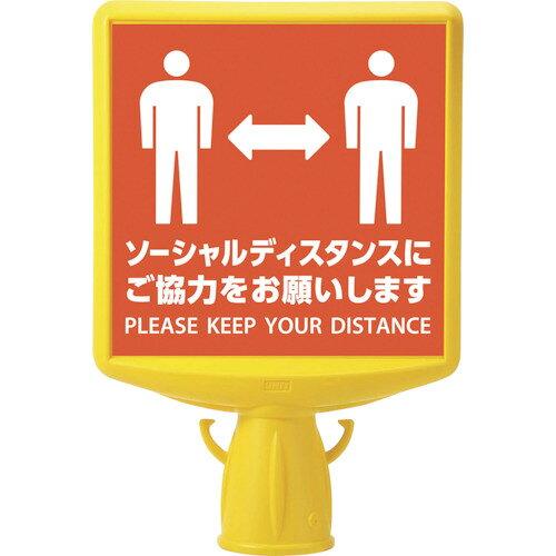 jbg R[TCgbv2 \[V... (WT965 8156)