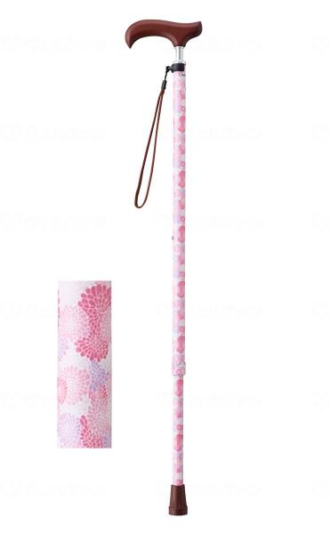 CtXebL XlbNLkX^Cv() (009734) u[P_A