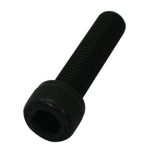 SUSLbv{gBK 831660-040 M10X40,1PC