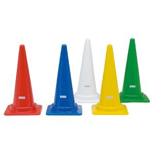 R[i[|CgST5 (G1323)