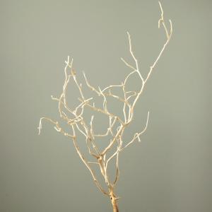 n_ EARTH MATTERS xOc[ ItzCg (51980-011)