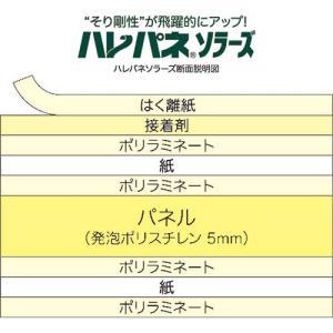 npl\[Y ASRA1-5   ASRA1-5