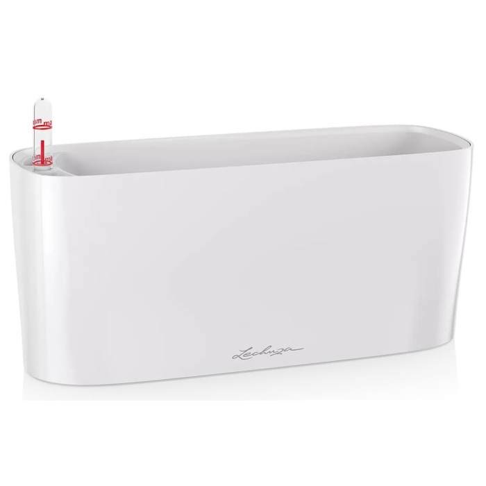 `[U ʋv^[ f^10 ye2L zCg (15460 8247)