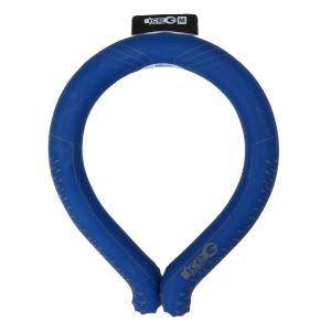 ACXG 2.0 u[ M ICG-BUC-M