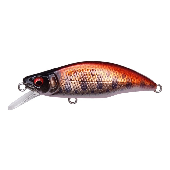 KoX GH46 HUMPBACK(FS) M bhXg[II