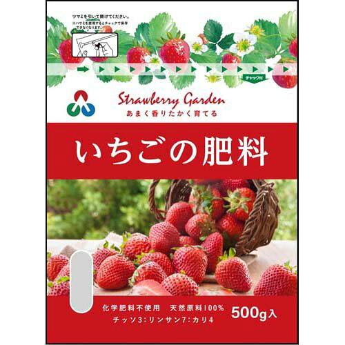 ̔엿 500g