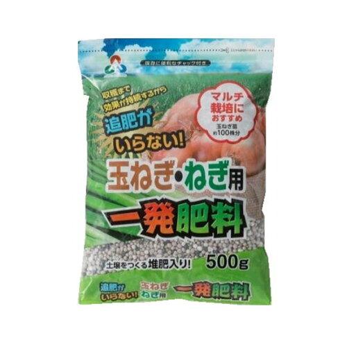 AOA ʂ˂˂pꔭ엿 500g