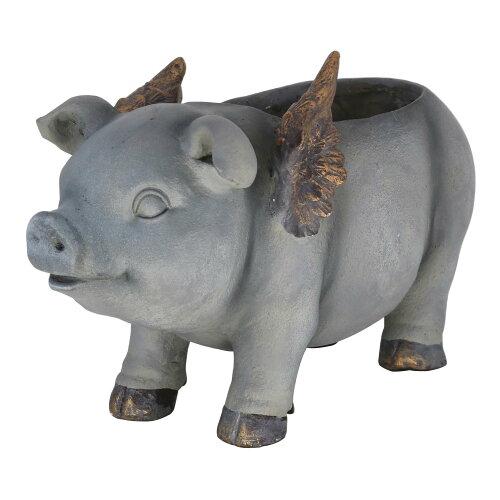 80431 t[|bg PIG