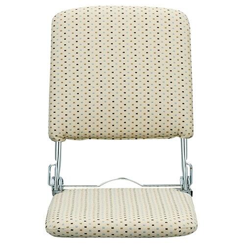 ܂肽ݍ֎q PLACEivXjYS-424BE