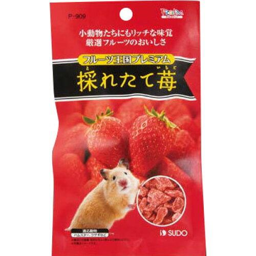 [Xh[]t[cv~A ̂ꂽ46g (-)