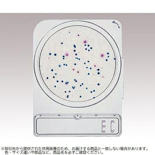 RpNghC (ZEXیop/4~60) 06534 1(4~60ܓ)