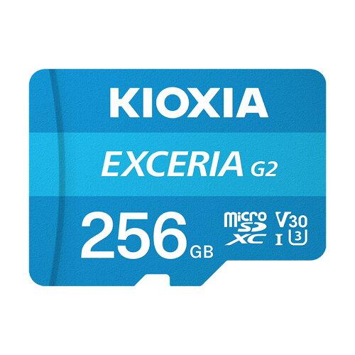 LINVA MSDXC[J[h(256GB) 4582563852402