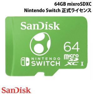 SDSQXAO-064G-GN3ZN