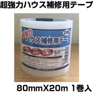 SS ̓nEXCe[v 80mm~20m
