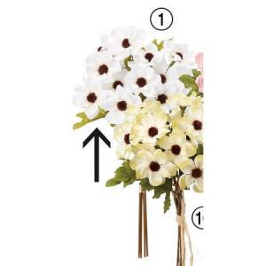 Allo`(15{) zCg (A-34730001)