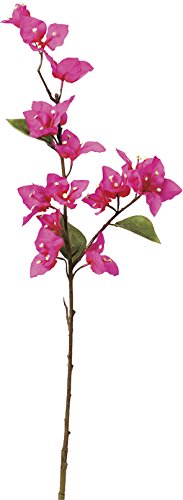 u[QrA~16 (A-33347023H)