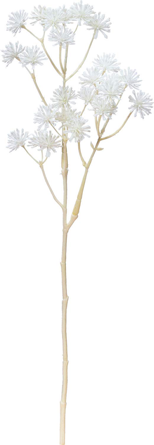 AAXv[~24 (A-34134001)