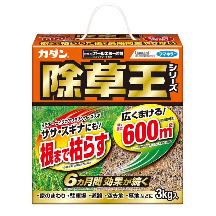 J_I[L[3kg