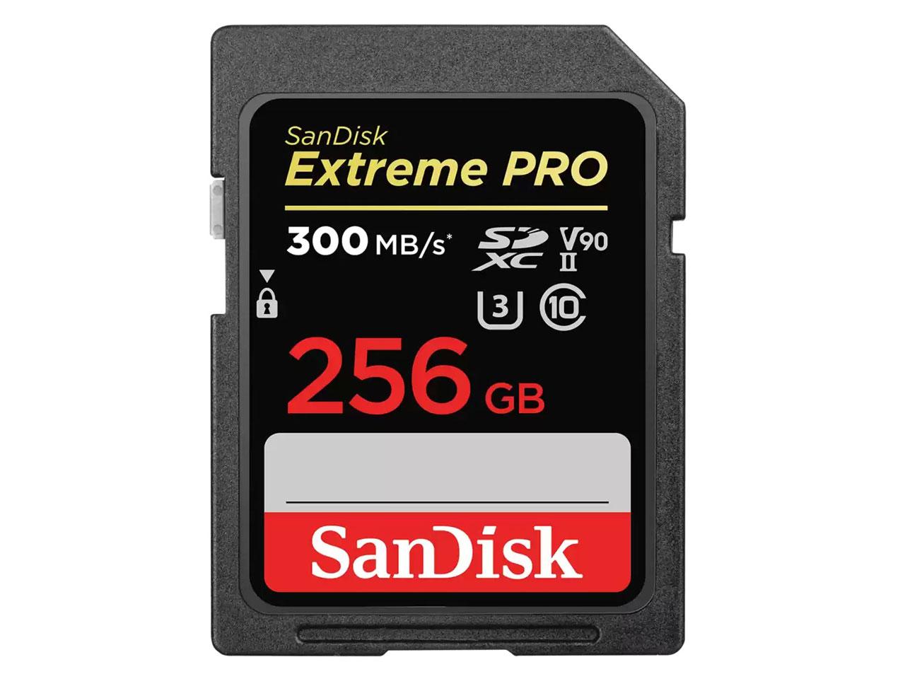 SDSDXDK-256G-GN4IN SANDISK