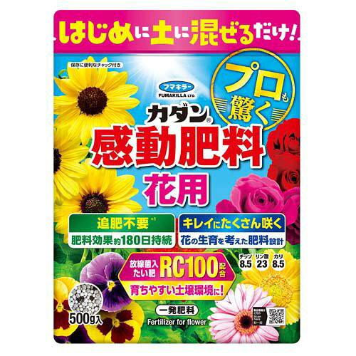 J_엿ԗp500g