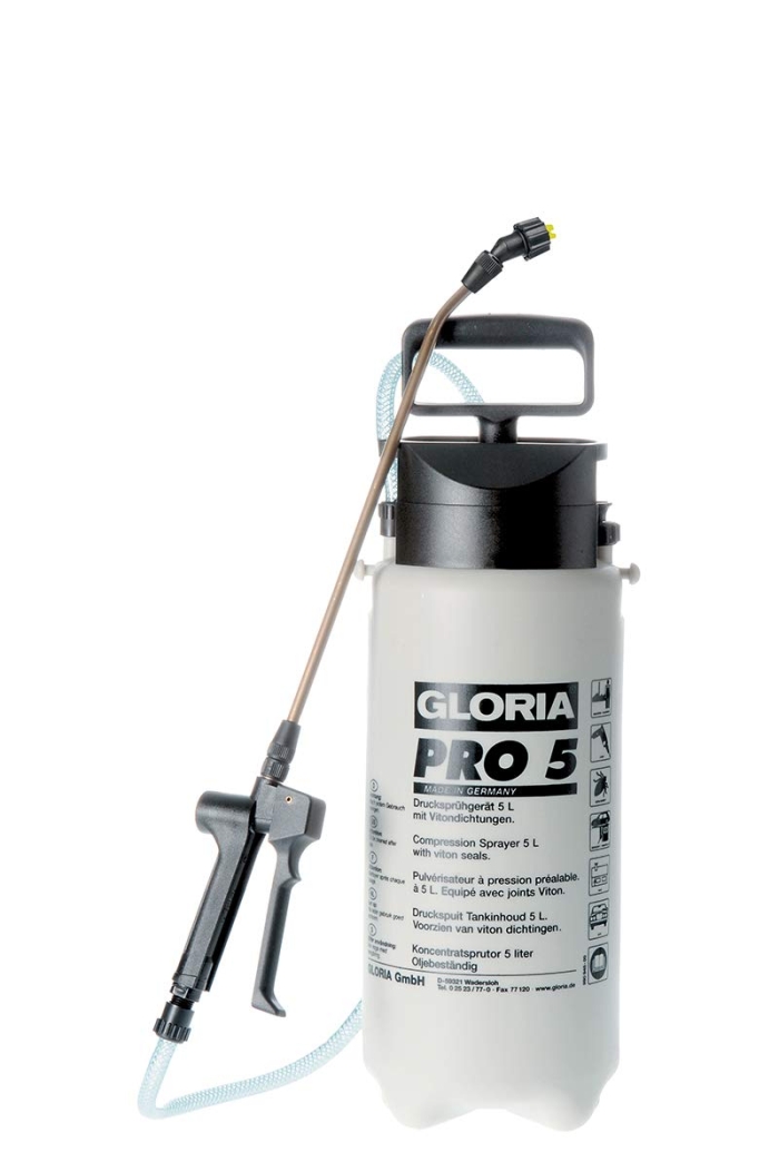 GLORIA ~ PRO5 (PRO5 2356)