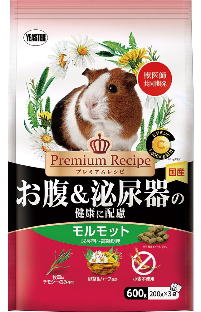 [C[X^[]v~AVs bg ǍNɔz 600g (-)