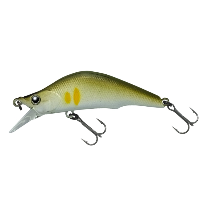 eBR irA62FS  007 p[A