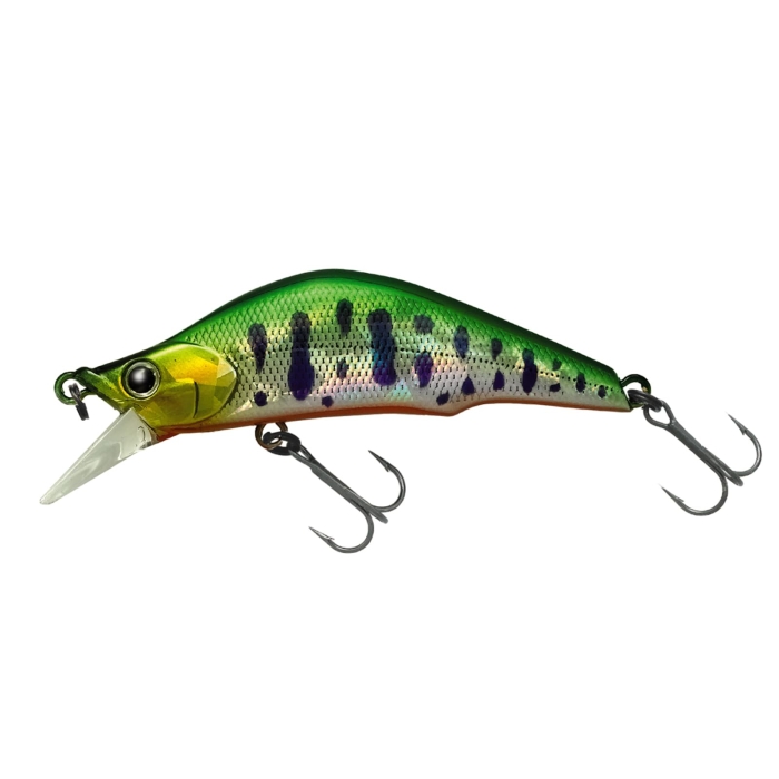 eBR irA62FS  023 HGVN}