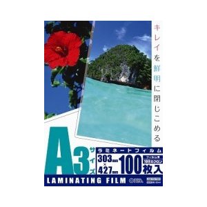 00-5544 ~l[gtBi100/A3/100j LAM-FA31003