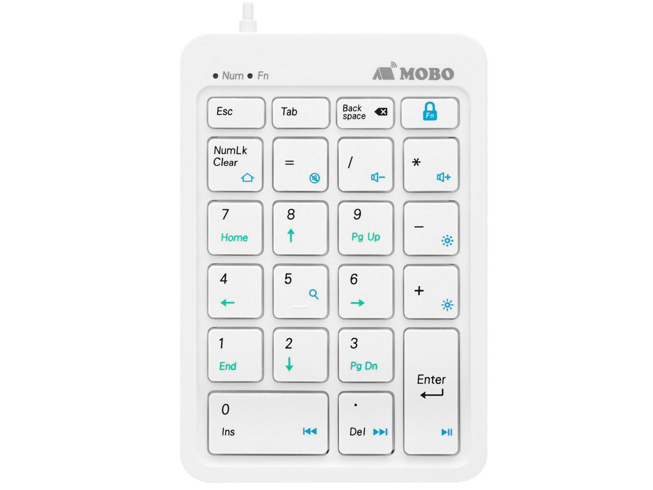 AMNPW22WH eL[ TenkeyPad 2 Wired(Mac/Windows11Ή) zCg AM-NPW22-WH [L /USB]