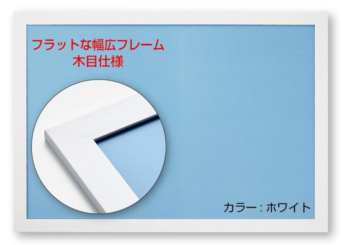 NTP101HtbgplWH WO\[pl NTP101H tbgpl zCg