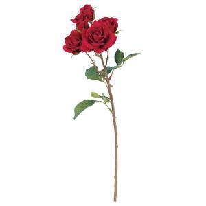 [YX3 ڂX2 (A-33762002)