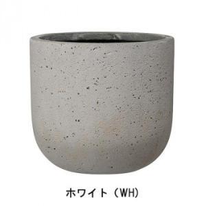 yAؔ/v^[/RN[g/t@Co[Zgz bJ[ U|bg 40cm (AN-RU4043WH)