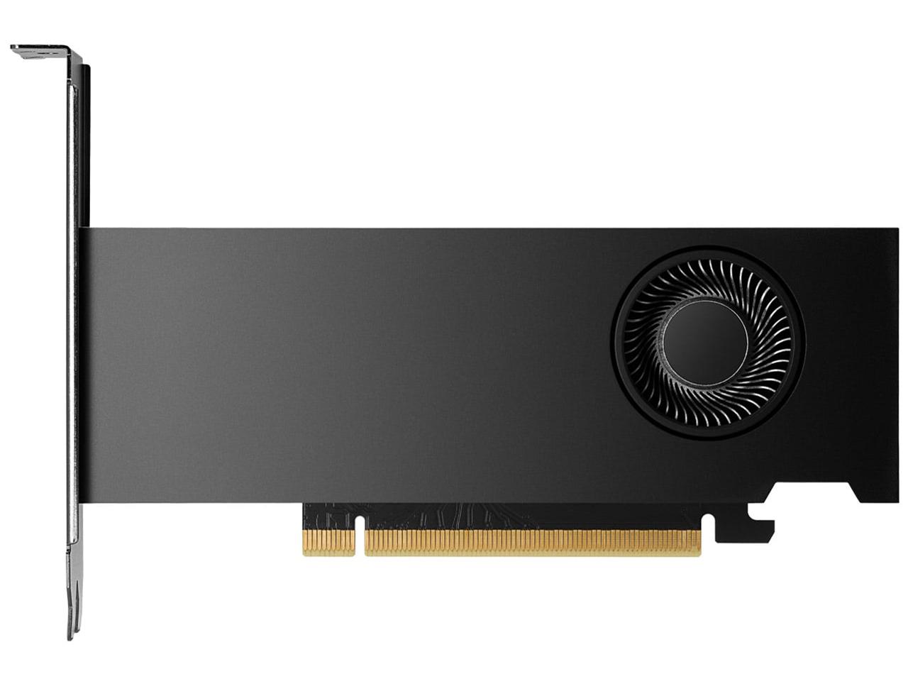 NVIDIA RTX 2000 Ada(900-5G192-2541-000)