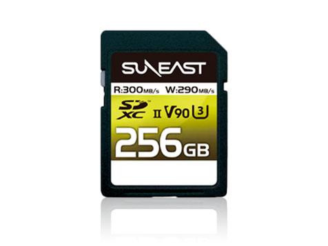 SDXC UHS-II Card V90V[Y256GBGB(SE-SDU2256GA300)