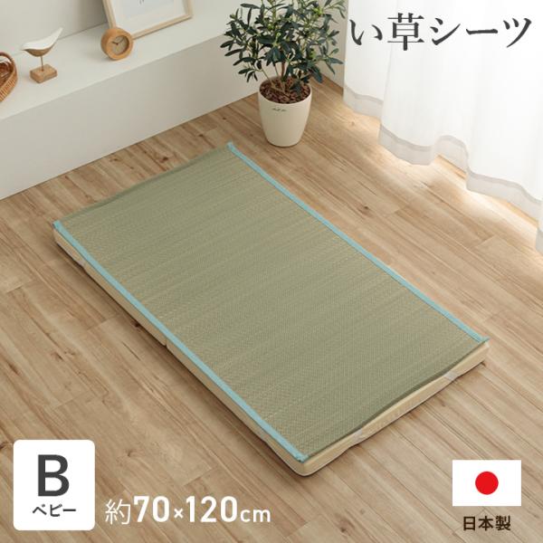 Q V[c ~pbh Y { 炳 z  L ȒP u[ xr[TCY 70~120cm