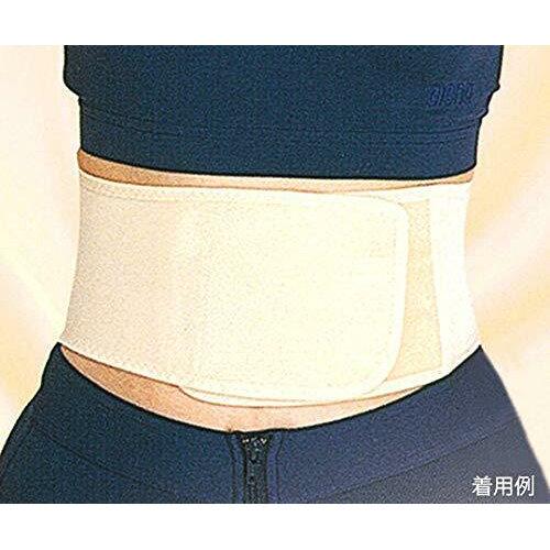 ナックバン(磁気腰サポーター) M