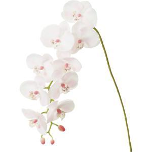 yԁzR`E x_[ FA-6816LAV (FA-7203LP)