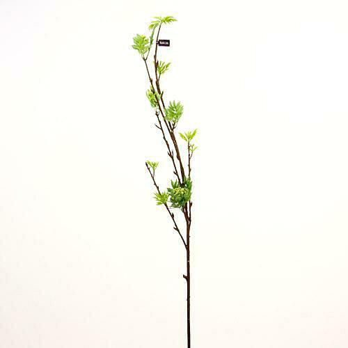 IEVEiiJ}h (A-46067-051A)