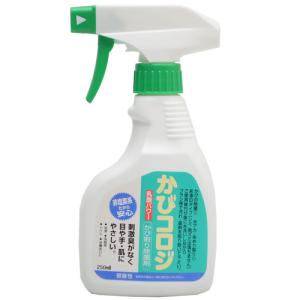 ް Ѻۼ 250ml@#279005