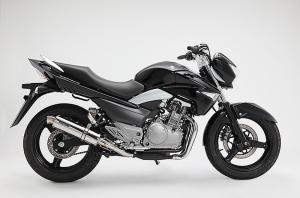 R-EVO ステンレス スリップオンS GSR250 RACING　D324-53-P6S　※メーカー在庫わずか