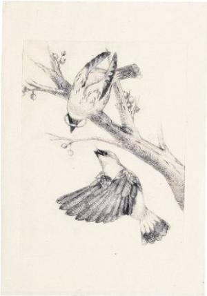 }bgPP (480x360x0.5m  20502