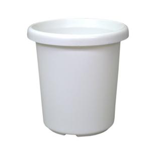 Abv F^ 12zCg