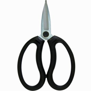 PRUMAN v OK-185