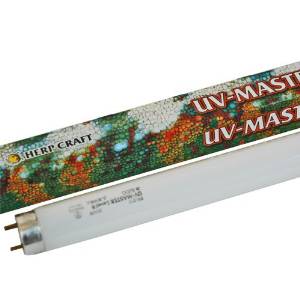 UV MASTER LEVEL8 20W` Xh[