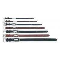 hCciV #27    5060246