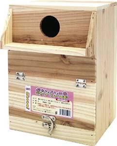 エクセルボタンインコ巣
