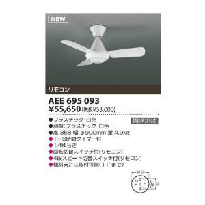 AEE695093