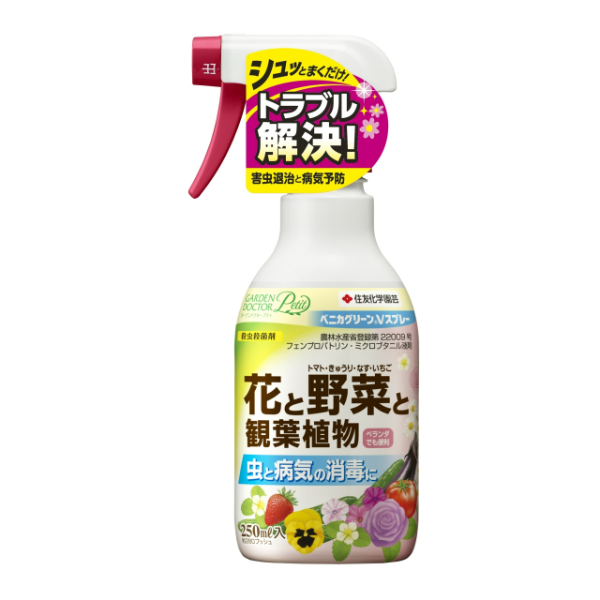 xjJO[VXv[ 250ml
