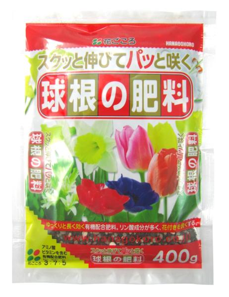 ̔엿400g